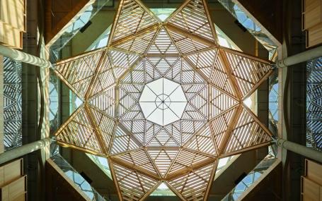 Schwarzman Dome