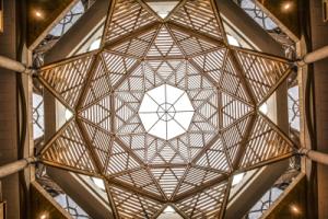 Dome of the Schwarzman Centre for Humanities
