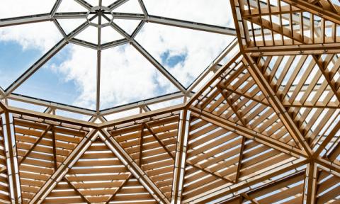 Schwarzman Centre Dome