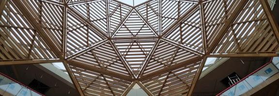 Schwarzman Building Roof