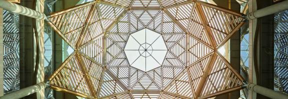 Schwarzman Dome
